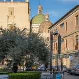 Siamo andati alla scoperta dell'oliva dolce di Bitetto girando tra le viuzze del centro storico...